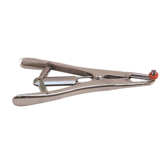 0903229 Paragon Forceps, stainless steel